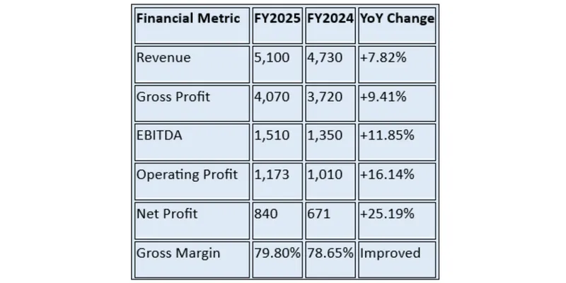 Financial Summary Table